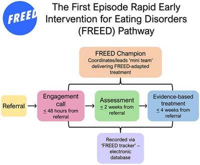 “Early intervention isn't an option, it's a necessity”: learning from implementation facilitators and challenges from the rapid scaling of an early intervention eating disorders programme in England